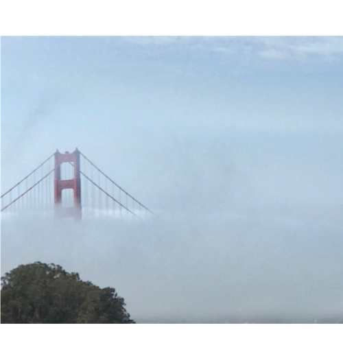 OCTOBER 7, 2020: @fog_karla made her debut on Twitter to replace @KarltheFog, San Francisco’s gentle giant.