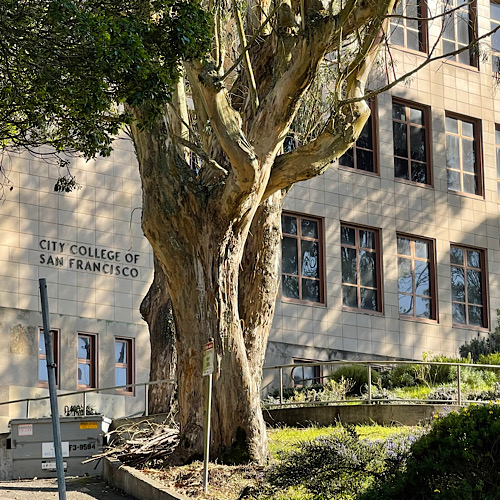 FEBRUARY 15, 1934: The San Francisco Unified School District established the San Francisco Junior College, known today as City College of San Francisco. 