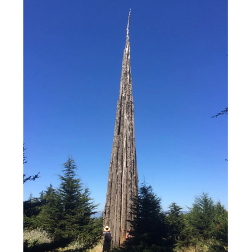 JUNE 23, 2020: British artist Andy Goldsworthy’s sculpture “Spire” in San Francisco’s Presidio was severely damaged in an arson fire.